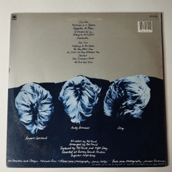 Винтажная виниловая пластинка LP The Police Reggatta De Blanc (USA 1979) Does Everyone Stare