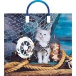 Пакет ПЭ с пластмассовыми ручками 38+3см(Матроскин) Глянцевый А (комплект 10 шт)