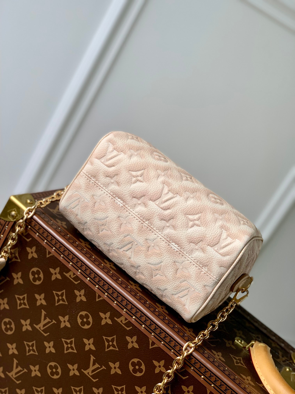 Louis Vuitton Speedy 20