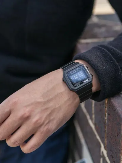 Наручные часы Casio Standart B650WB-1BDF