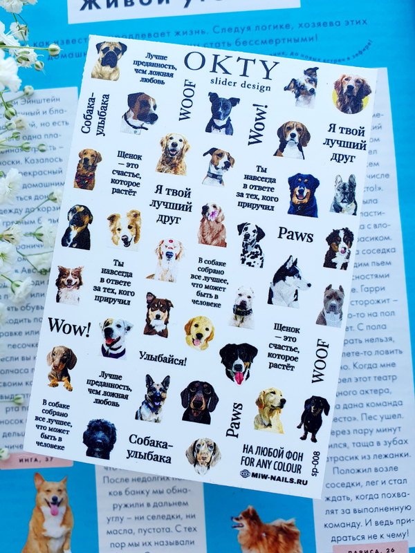 Слайдер - дизайн OKTY sp-008