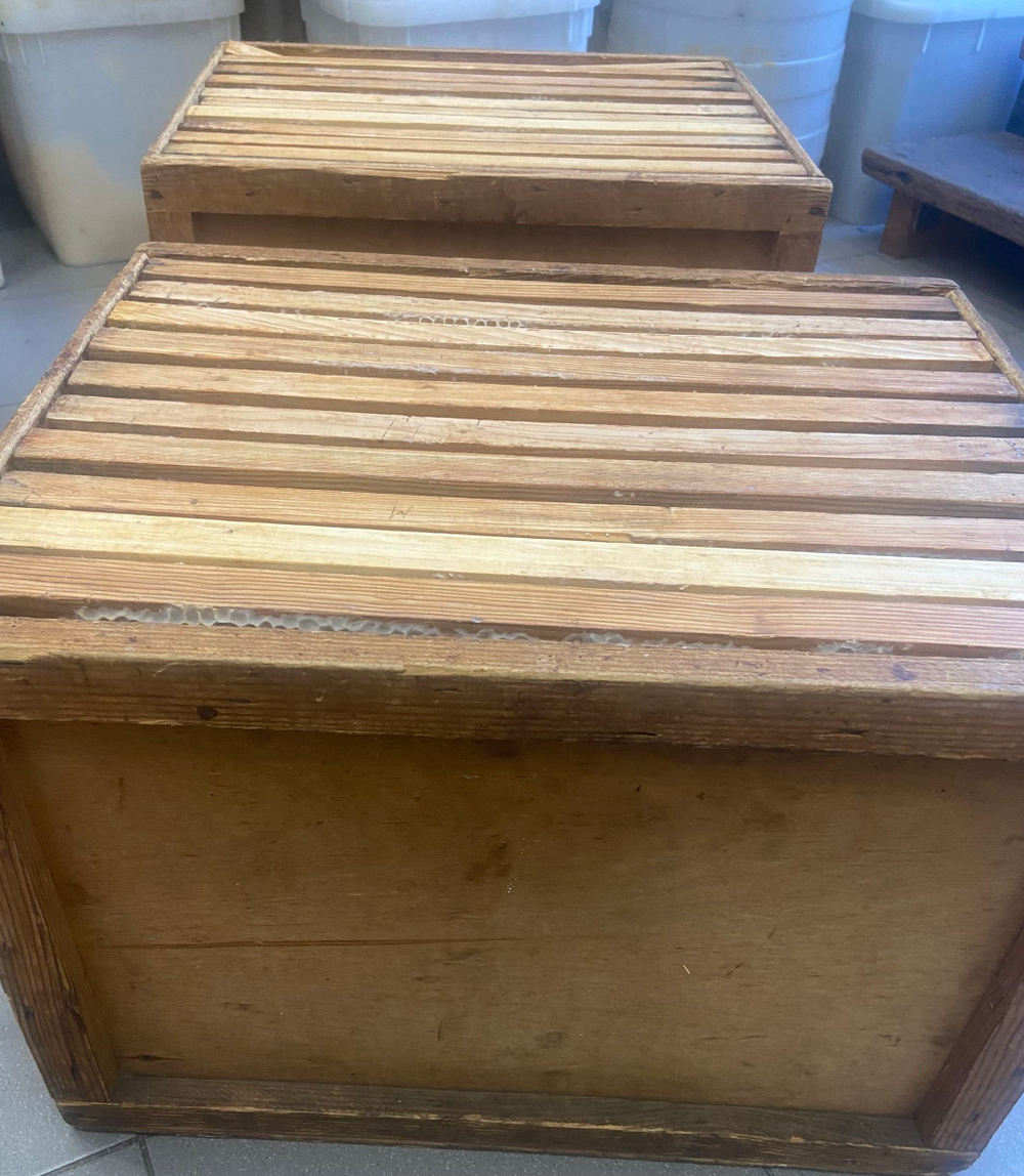 Перга пчелиная в сотах нативная, медово- перговые соты, 350гр. Алтайский край