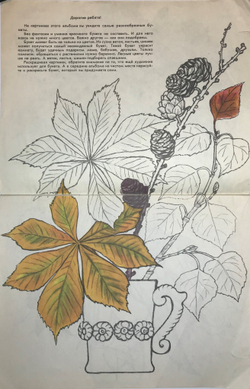 Альбом для раскашивания Раскрасте букет. М., изд. "Малыш", 1987 г. 20 с. илл. Бумажная илл. обложка