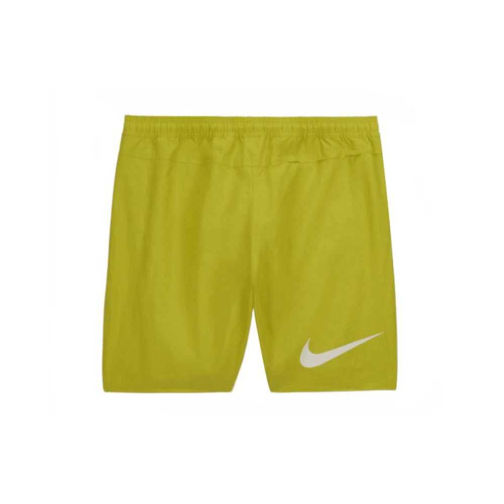 Шорты Nike x Stussy FW23 Logo, FJ9168-344