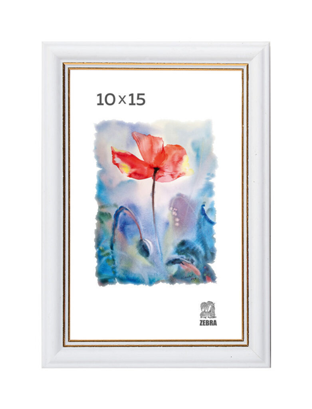 Фоторамка пластик 10*15 100