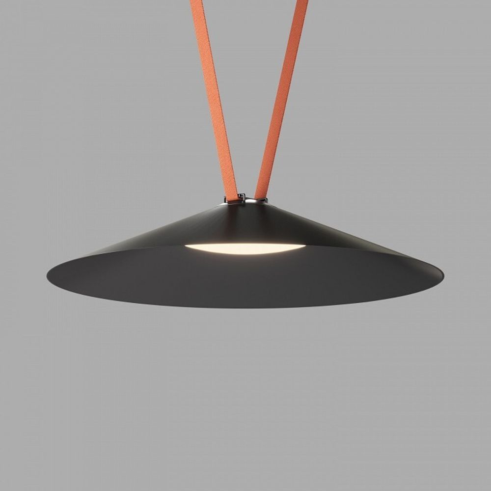 Накладной светильник Denkirs Belty Flow DK5569-BK