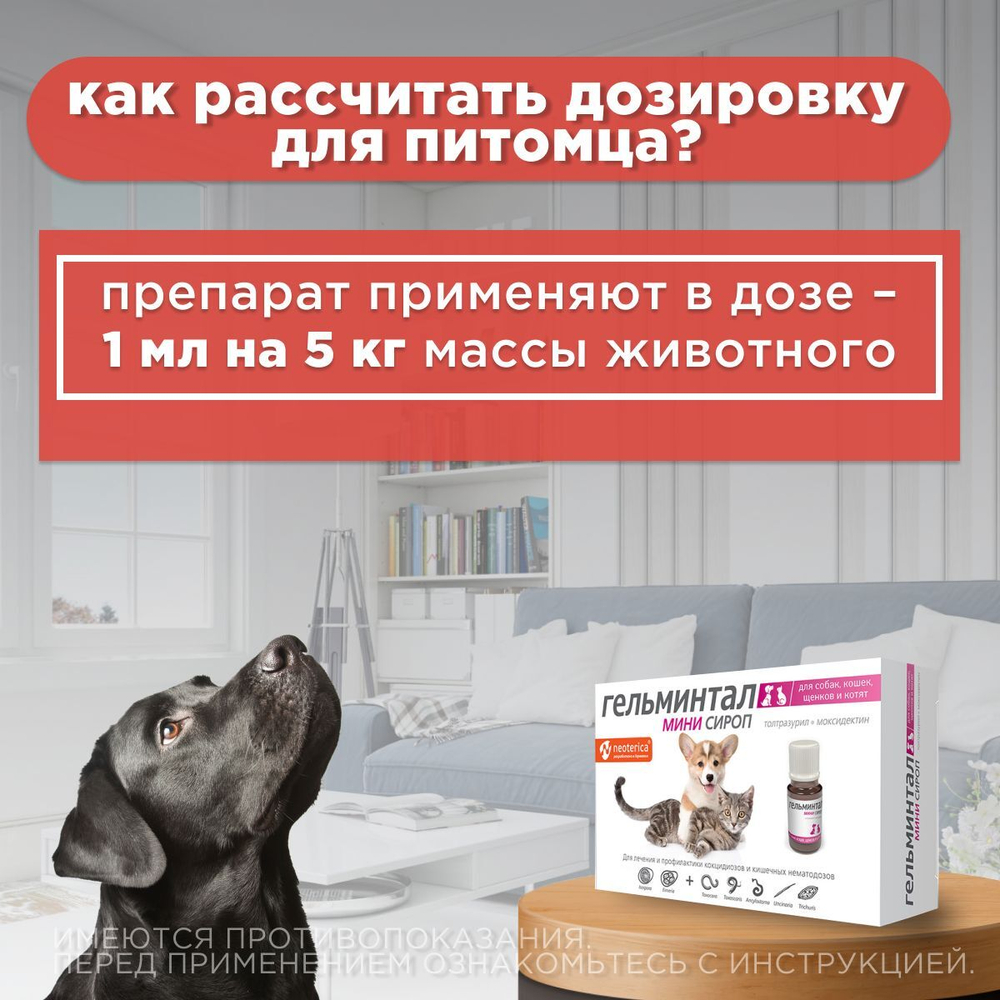 Сироп от гельминтов для кошек, собак, котят и щенков Гельминтал Мини (Neoterica), 10мл. Толтразурил/ Моксидектин