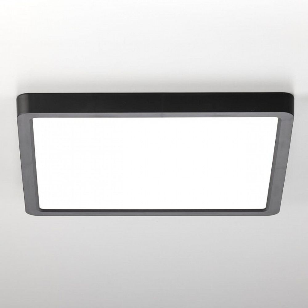 Накладной светильник Citilux Бейсик CL738K241V