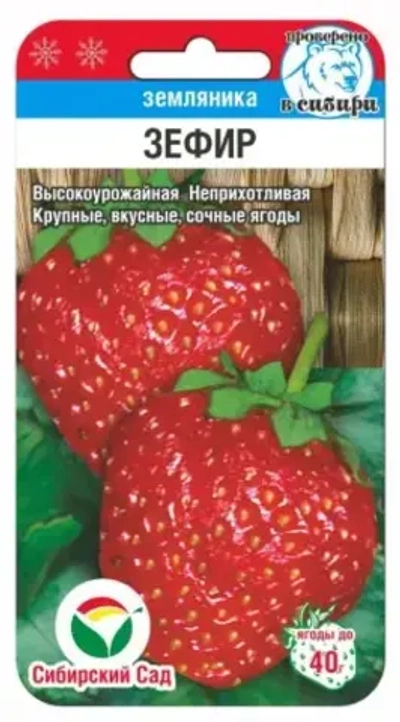 Земляника Зефир 10шт (Сиб сад)
