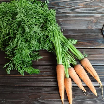 Фотография Морковь деревенская с ботвой / 5 шт купить в магазине Афлора