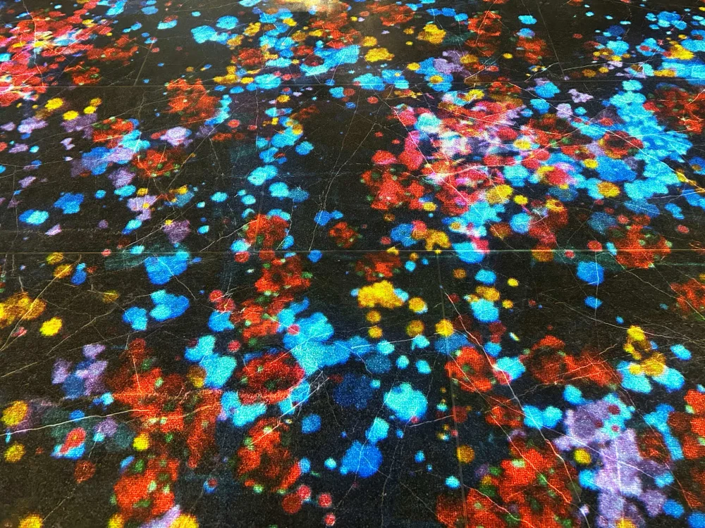 Интерактивный проектор напольный Максимальная комплектация