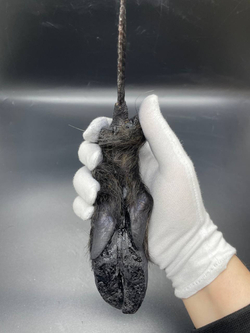 Обсидиановый нож с рукоятью копыта вепря 24 см