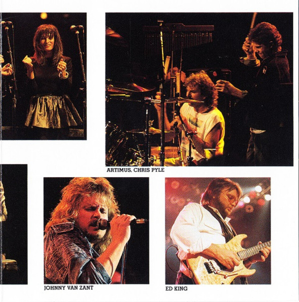 Lynyrd Skynyrd / 5 Classic Albums (5CD)