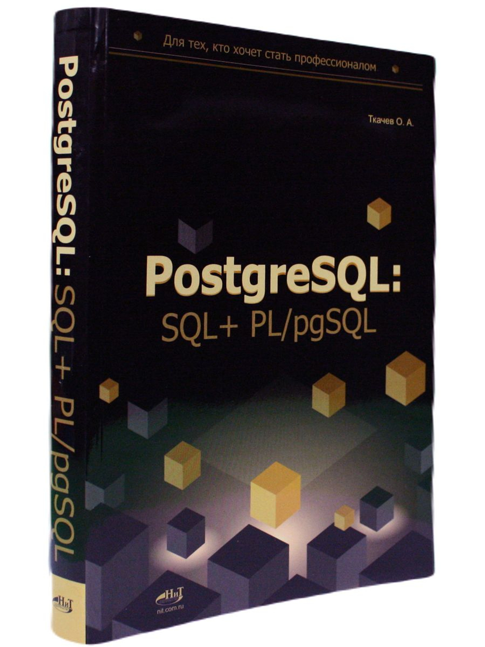 PostgreSQL: SQL + PL/pgSQL для тех, кто хочет стать профессионалом