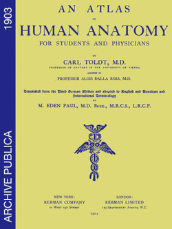 An atlas of human anatomy for students and physicians. (Sections 1—2) | Carl Toldt