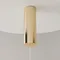 Подвесной светильник Золотая клетка / Golden Cage 3000К 17Вт Maytoni mod216pl-l10g3k