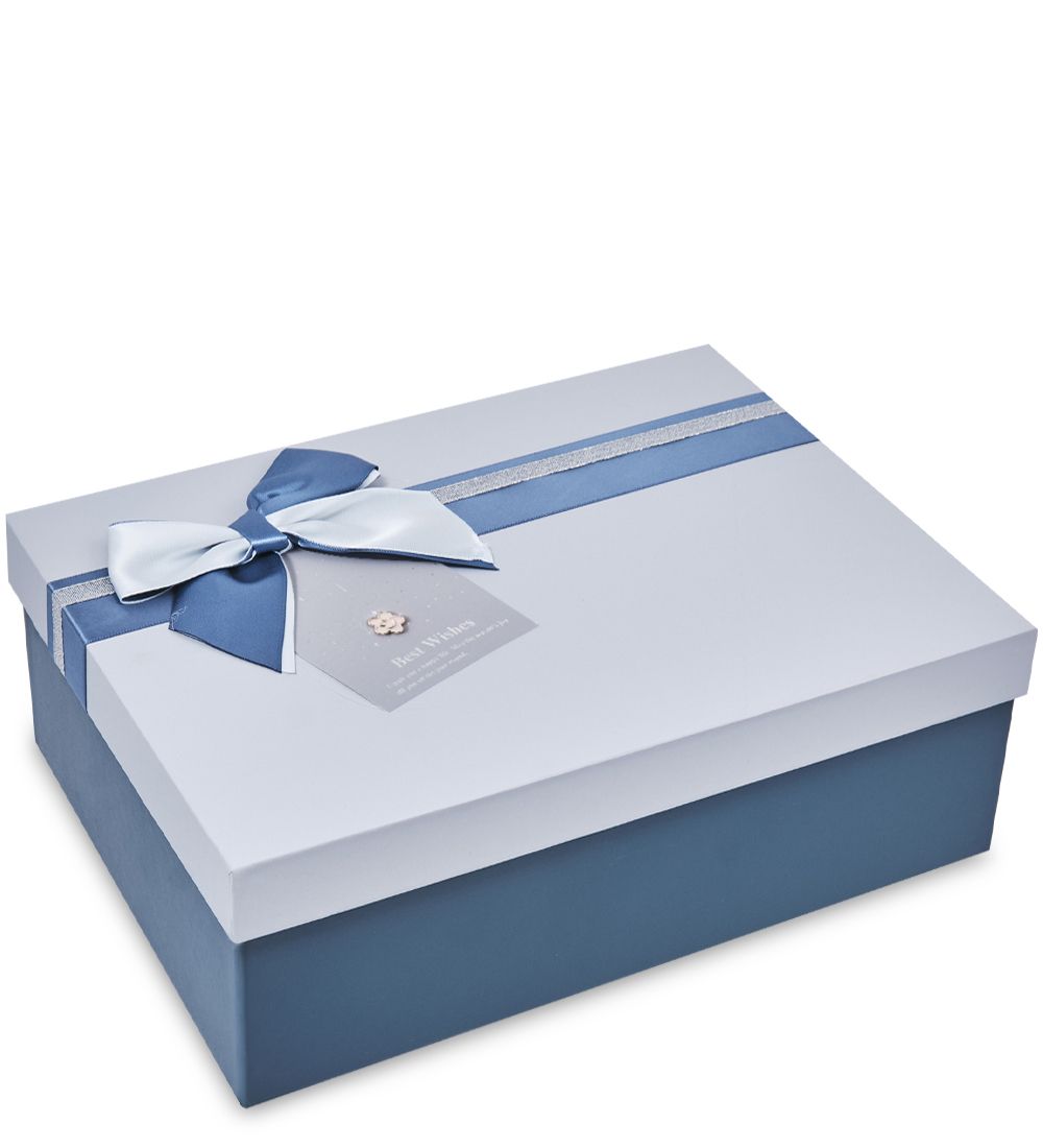 WF-173/3-A Коробка бол., синий/голубой