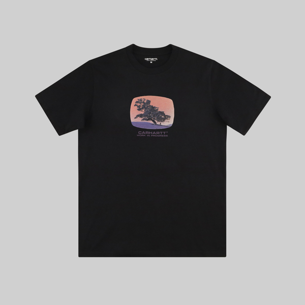 Футболка мужская Carhartt WIP Seeds артикул:I031028 - купить в магазине Дайс