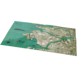 Мутанты. Карта Зоны (Москва/Санкт-Петербург)