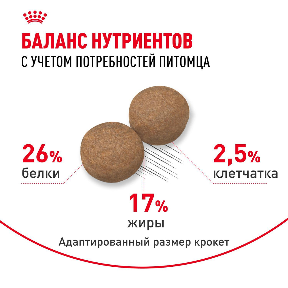 Royal Canin Maxi Adult Корм сухой для взрослых собак крупных размеров от 5 лет до 8 лет 15 кг