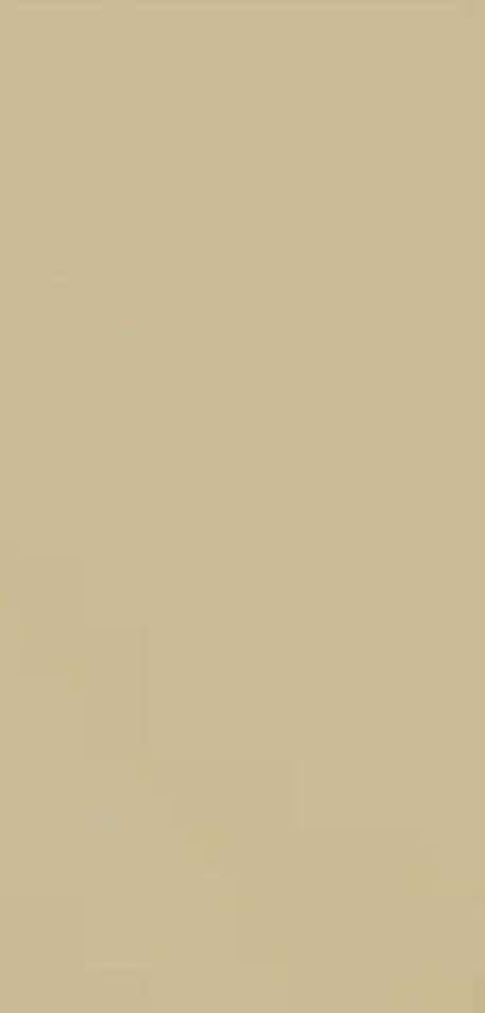 Керамика Будущего Моноколор CF 100 PR Аворио 30x60