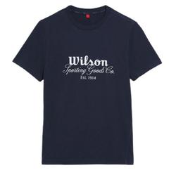 Женская теннисная футболка Wilson Easy T-Shirt - небесный