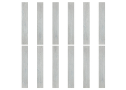 PW 01002 SILVER