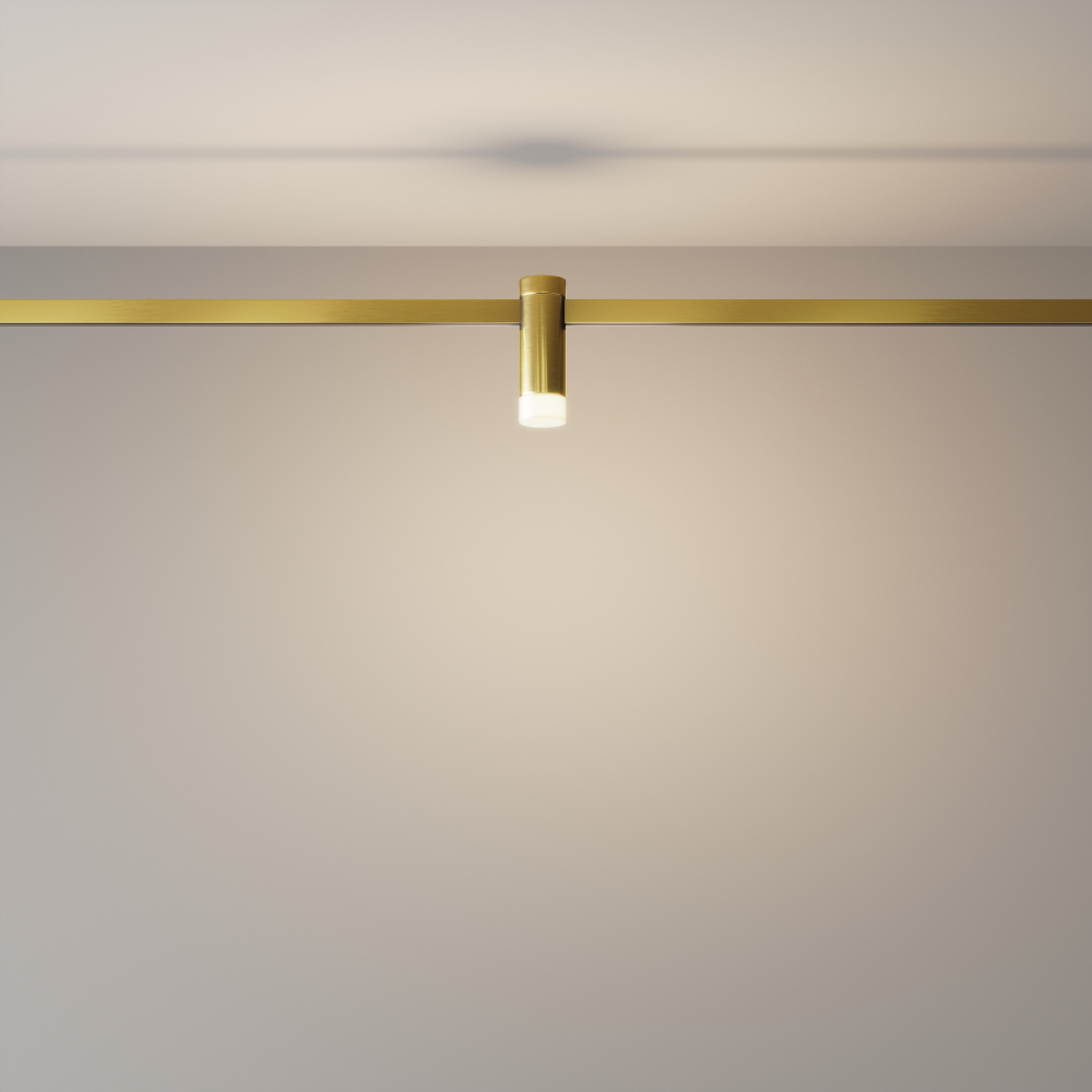 Магнитный трековый светильник Maytoni Skim TR145-1-3W3K-W-BS