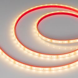 Светодиодная лента герметичная RTW-PFS-A60-11mm 12V Warm3000 (4.8 W/m, IP68, 2835, 5m) (Arlight, -) 033783