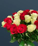 Розы 51 шт