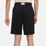 Шорты Jordan Logo, DV5030-010