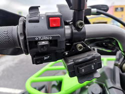 Квадроцикл PROMAX RENEGADE 280 WINCH PRO (2025)