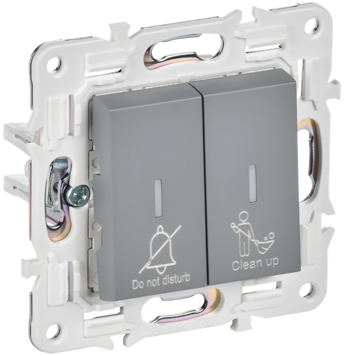 SKANDY Выключатель 2-клавишный с индикацией для отелей 10А SK-V16Gr серый IEK