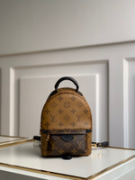 Louis Vuitton Palm Springs Mini