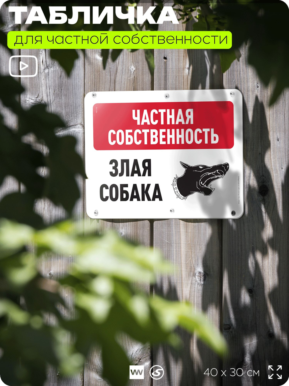 Табличка для частной территории "Частная собственность, злая собака", на дом, для участка, организаций, предупреждающая, 40х30 см, Silver Plane x Айдентика Технолоджи