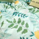 Комплект постельного белья Сатин 100% хлопок C557