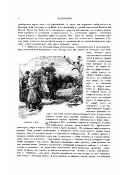 Живописная Россия. Том 5: Малороссия, Подолия и Волынь. Часть 1 | П. П. Семенов