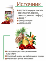 Живица кедровая на облепиховом масле 150 капсул