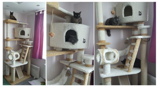 Дом для кота К-16