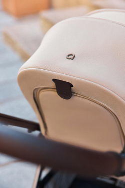 Детская коляска Anex iQ Premium NT 2 в 1 iQ-13-DNA seal