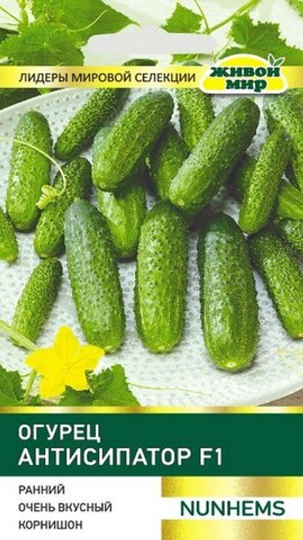 Огурец "ЖМ. Aнтиcипaтop F1" 5шт, Нидерланды.