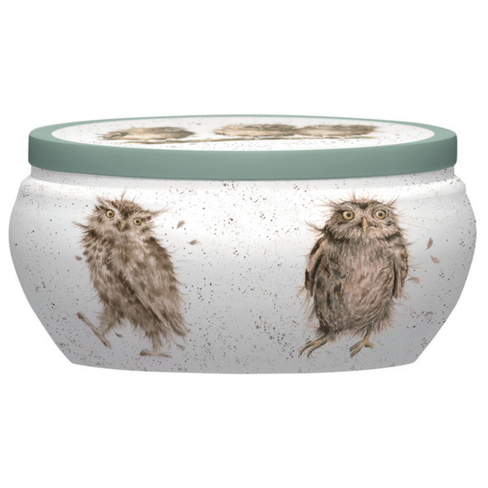 Свеча в жестяной банке 9см Забавная фауна Сова Royal Worcester