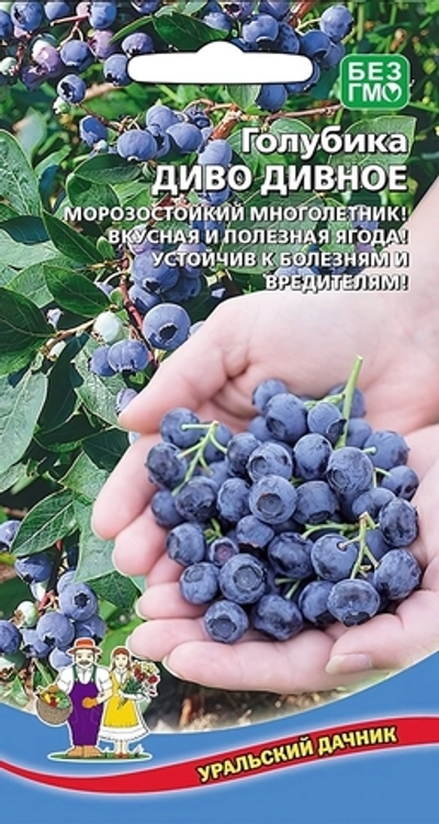 Семена Голубика Диво дивное (УД) Е/П