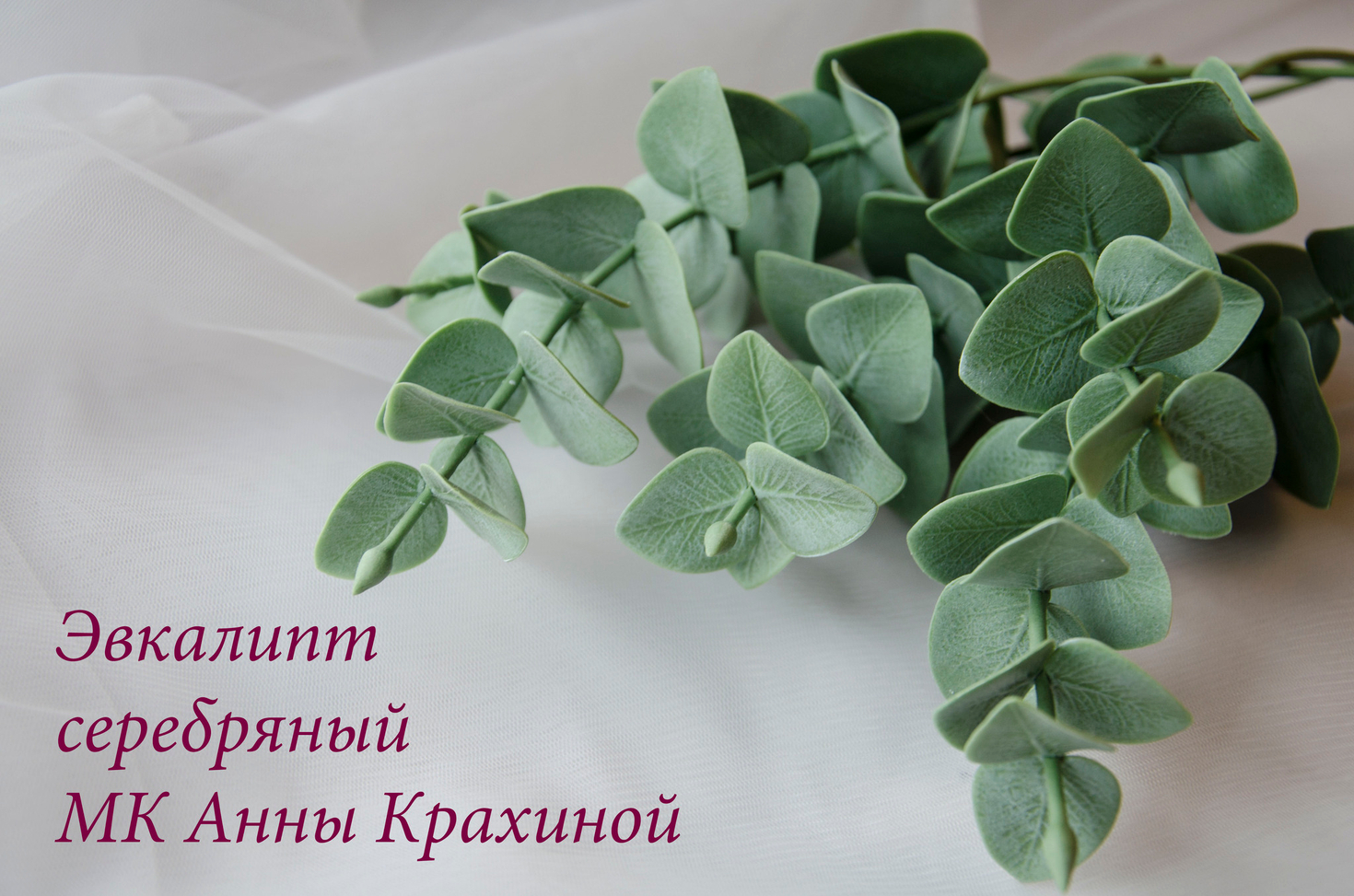 Эвкалипт из холодного фарфора