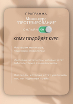 Мини-Курс PROTEZ