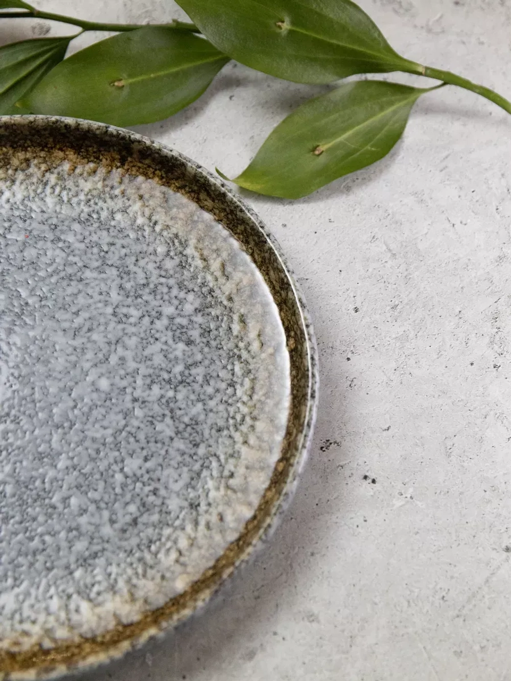 Тарелка с бортами 25.3 см осень