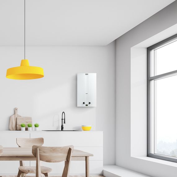 Колонка газовая Zanussi GWH 12 Fonte купить в Москве и Московской области по низкой цене с доставкой по России — (7) Колонка газовая Zanussi GWH 12 Fonte — (7)