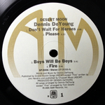 Dennis DeYoung / Desert Moon (LP)
