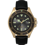 Мужские наручные часы Timex TW2V42200